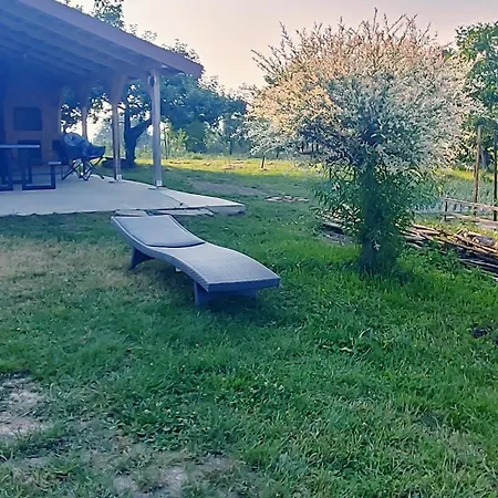 Dunja *